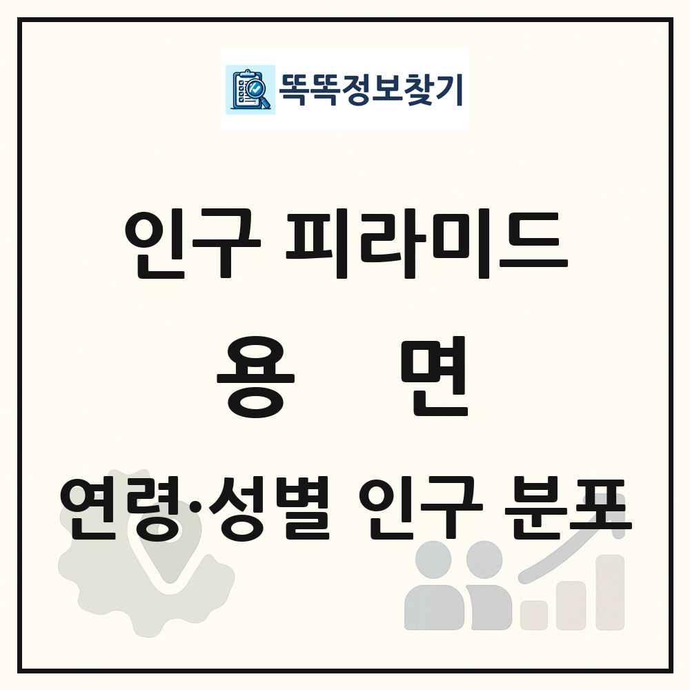 용면 인구 피라미드 링크 그림